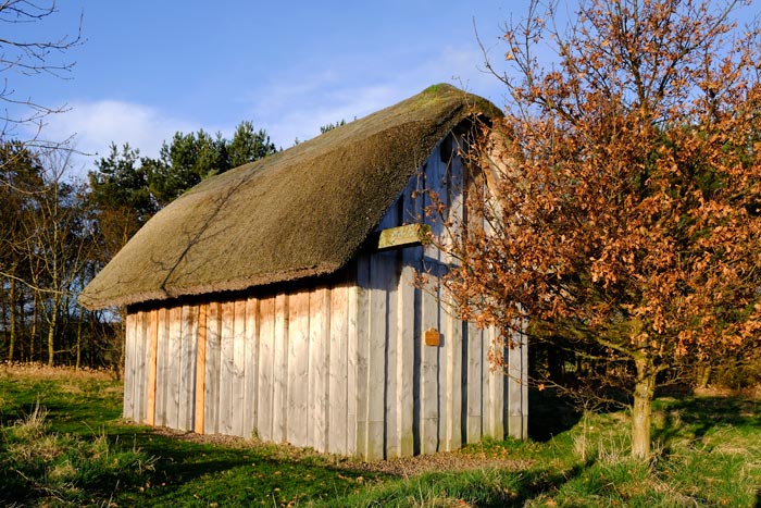 Dark Age House