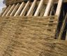 Starting to thatch